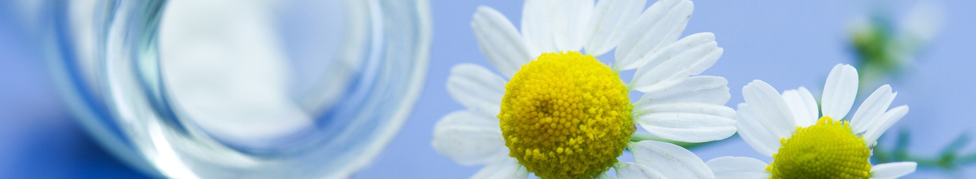Homeopatia e o uso responsável e equilibrado pela Dual Clinic