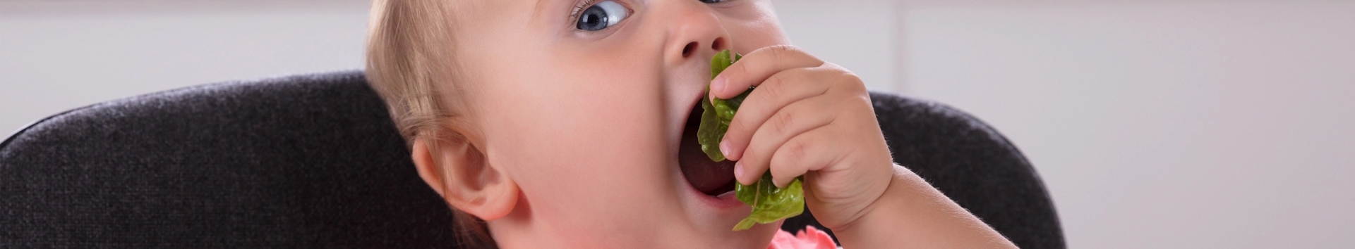 O que posso dar para o bebê comer no natal?
