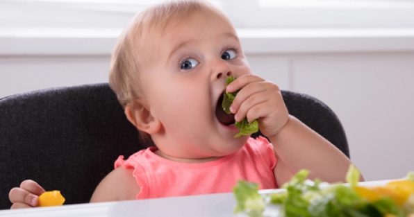 Pediatria - O que posso dar para o bebê comer no natal?